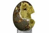 Calcite Crystal Filled Septarian Geode Egg - Utah #176038-2